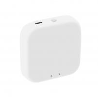 Bramka eB1Z SMART