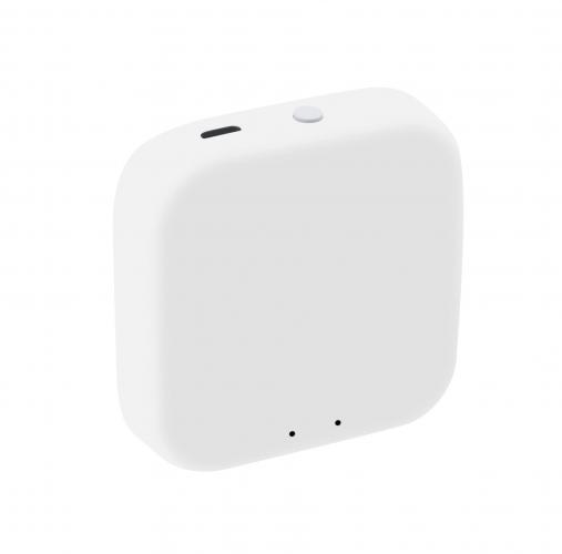 Bramka eB1Z SMART